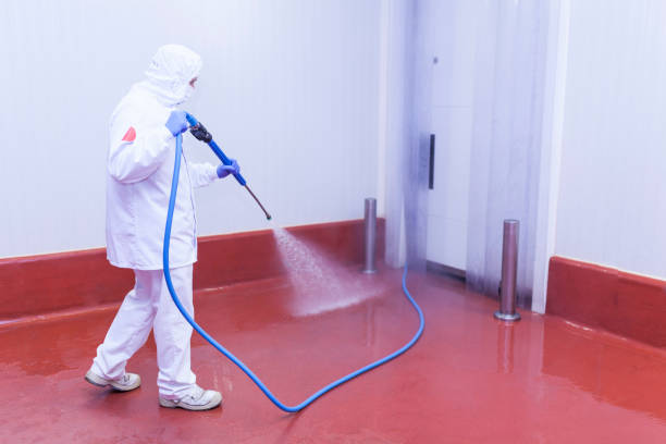 Best Graffiti Removal  in Burgin, KY