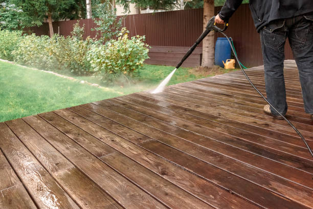 Best Roof Washing  in Burgin, KY